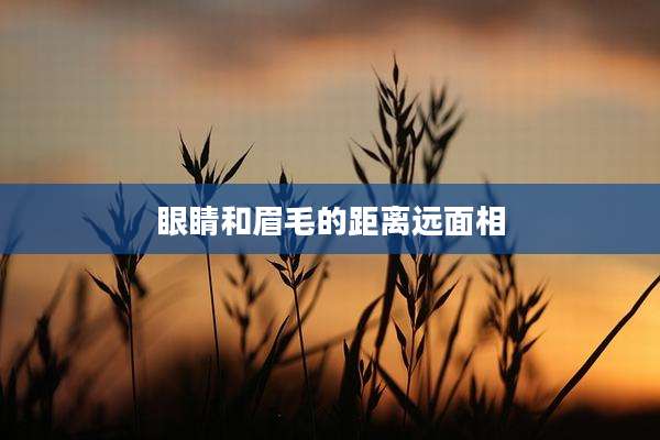 眼睛和眉毛的距离远面相