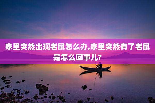 家里突然出现老鼠怎么办,家里突然有了老鼠是怎么回事儿?