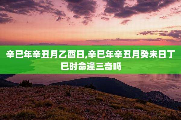 辛巳年辛丑月乙酉日,辛巳年辛丑月癸未日丁巳时命逄三奇吗
