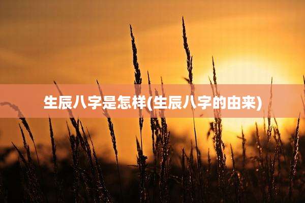 生辰八字是怎样(生辰八字的由来)