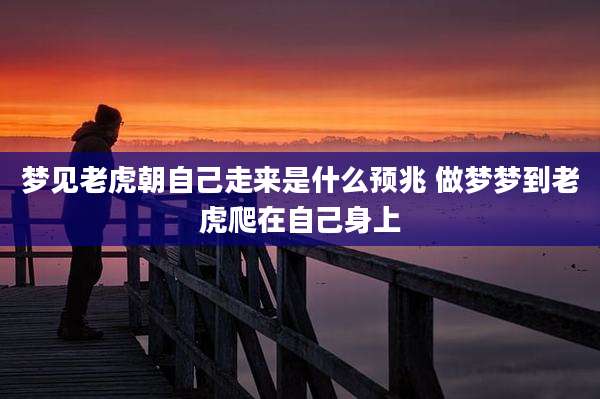 梦见老虎朝自己走来是什么预兆 做梦梦到老虎爬在自己身上