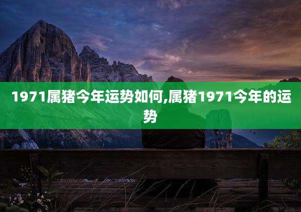 1971属猪今年运势如何,属猪1971今年的运势