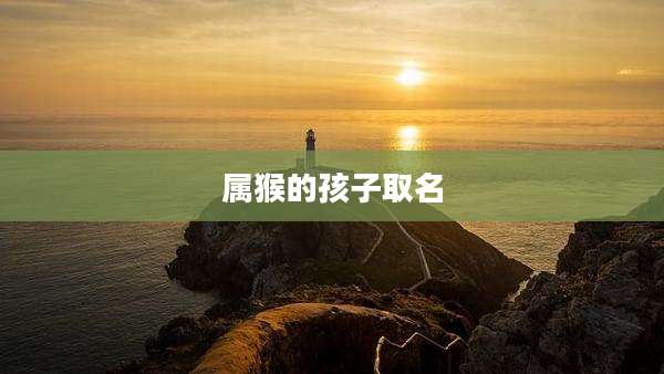 属猴的孩子取名