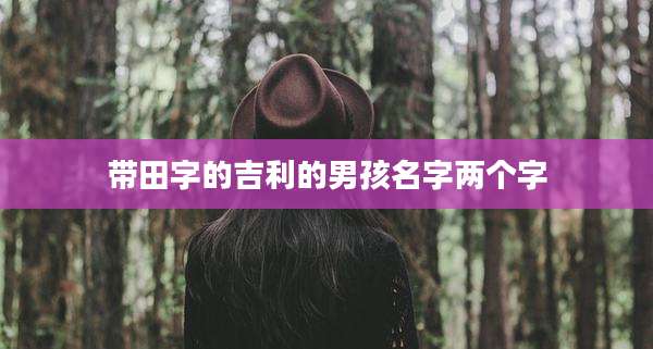 带田字的吉利的男孩名字两个字