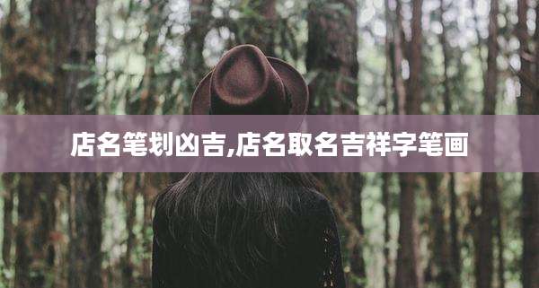 店名笔划凶吉,店名取名吉祥字笔画