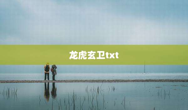 龙虎玄卫txt