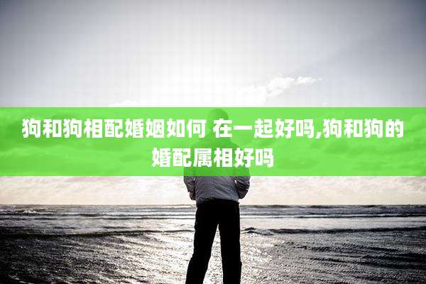 狗和狗相配婚姻如何 在一起好吗,狗和狗的婚配属相好吗