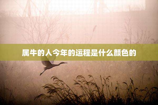属牛的人今年的运程是什么颜色的