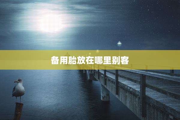 备用胎放在哪里别客