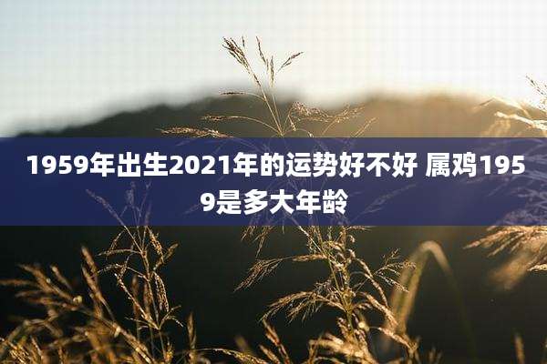 1959年出生2021年的运势好不好 属鸡1959是多大年龄