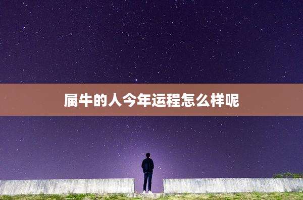 属牛的人今年运程怎么样呢