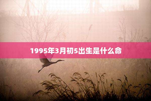 1995年3月初5出生是什么命