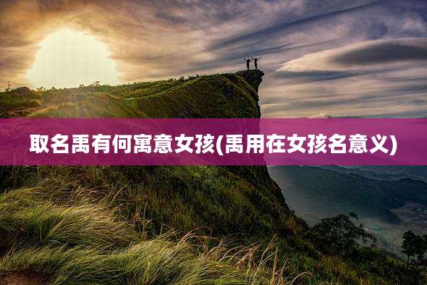 取名禹有何寓意女孩(禹用在女孩名意义)