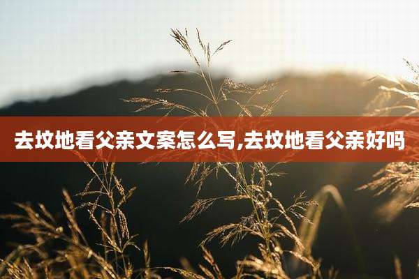 去坟地看父亲文案怎么写,去坟地看父亲好吗