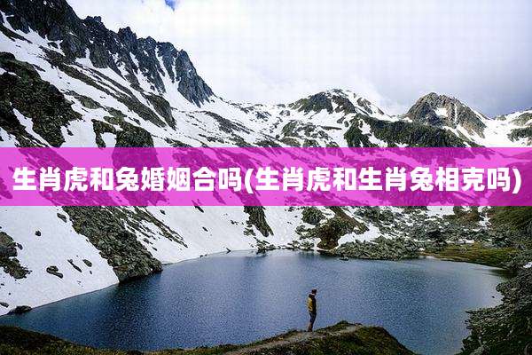 生肖虎和兔婚姻合吗(生肖虎和生肖兔相克吗)