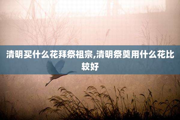 清明买什么花拜祭祖宗,清明祭奠用什么花比较好