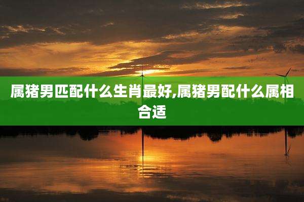 属猪男匹配什么生肖最好,属猪男配什么属相合适