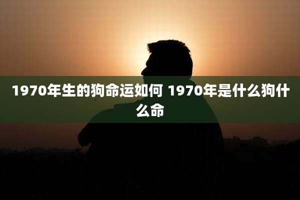 1970年生的狗命运如何 1970年是什么狗什么命