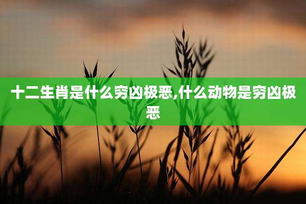 十二生肖是什么穷凶极恶,什么动物是穷凶极恶