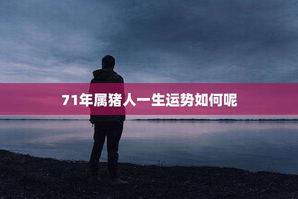 71年属猪人一生运势如何呢