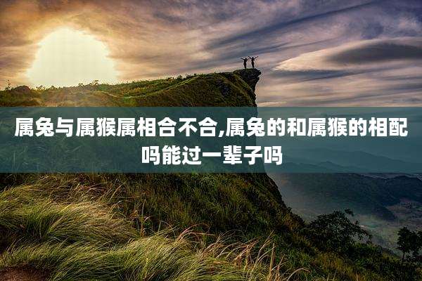 属兔与属猴属相合不合,属兔的和属猴的相配吗能过一辈子吗