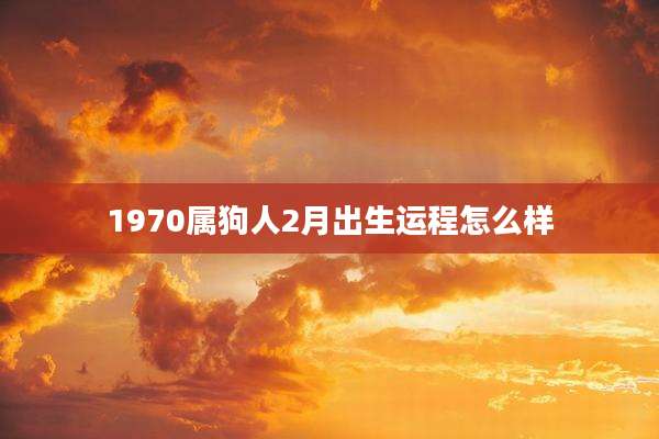 1970属狗人2月出生运程怎么样