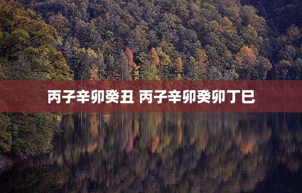 丙子辛卯癸丑 丙子辛卯癸卯丁巳