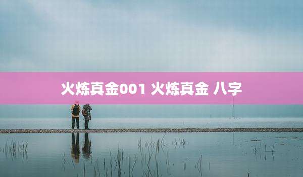 火炼真金001 火炼真金 八字