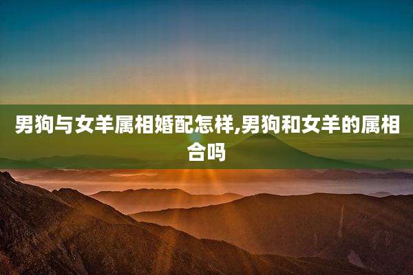 男狗与女羊属相婚配怎样,男狗和女羊的属相合吗