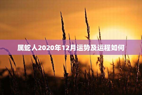 属蛇人2020年12月运势及运程如何
