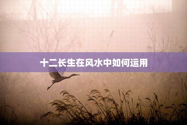 十二长生在风水中如何运用