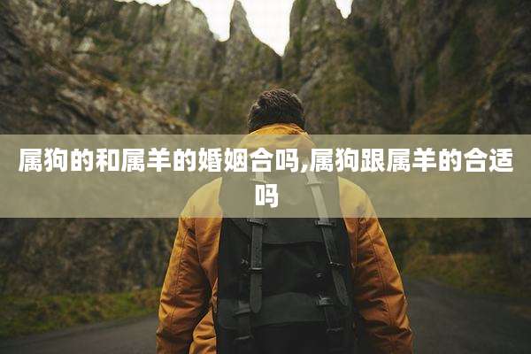 属狗的和属羊的婚姻合吗,属狗跟属羊的合适吗
