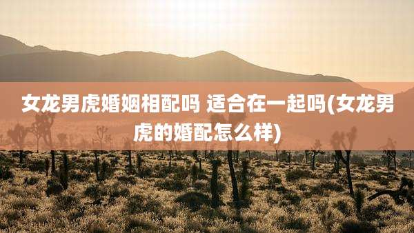 女龙男虎婚姻相配吗 适合在一起吗(女龙男虎的婚配怎么样)