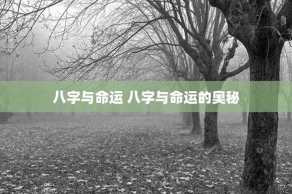 八字与命运 八字与命运的奥秘