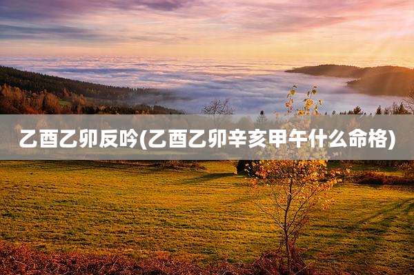 乙酉乙卯反吟(乙酉乙卯辛亥甲午什么命格)