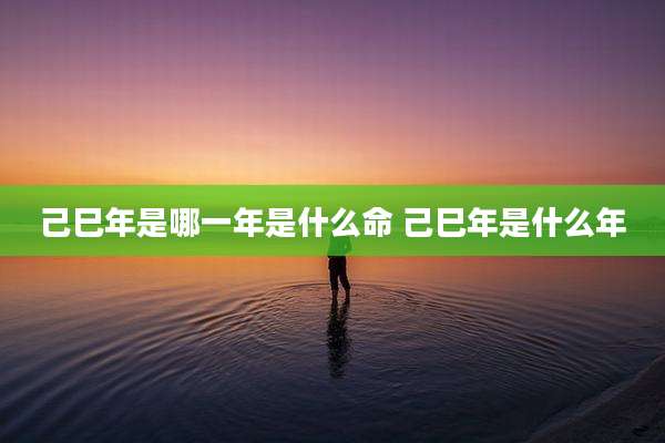 己巳年是哪一年是什么命 己巳年是什么年
