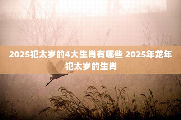 2025犯太岁的4大生肖有哪些 2025年龙年犯太岁的生肖