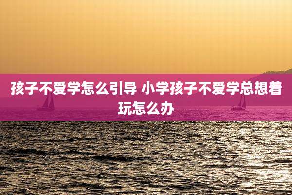 孩子不爱学怎么引导 小学孩子不爱学总想着玩怎么办