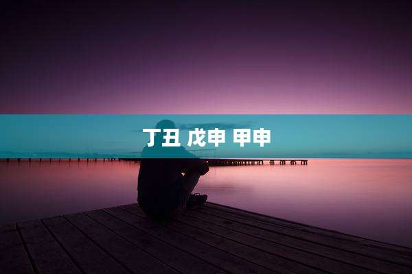 丁丑 戊申 甲申