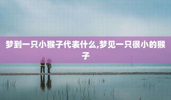 梦到一只小猴子代表什么,梦见一只很小的猴子