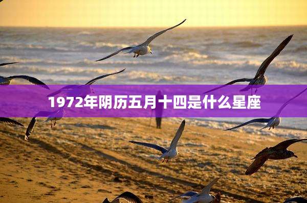 1972年阴历五月十四是什么星座