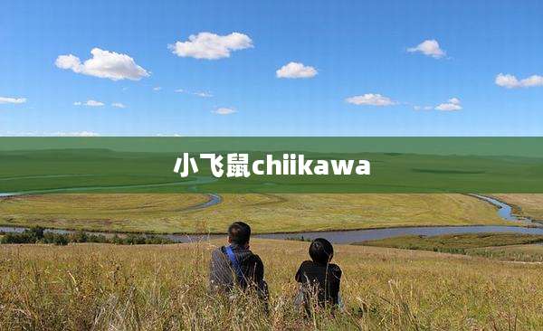 小飞鼠chiikawa