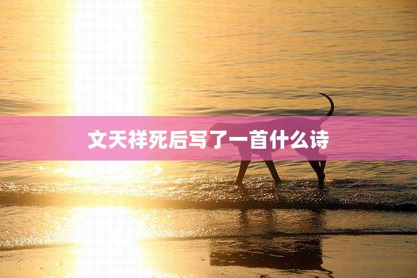 文天祥死后写了一首什么诗