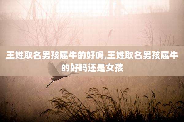 王姓取名男孩属牛的好吗,王姓取名男孩属牛的好吗还是女孩