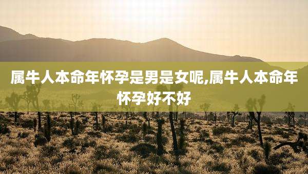 属牛人本命年怀孕是男是女呢,属牛人本命年怀孕好不好