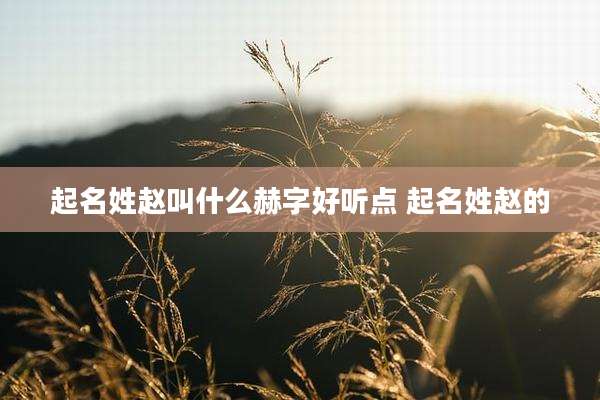 起名姓赵叫什么赫字好听点 起名姓赵的