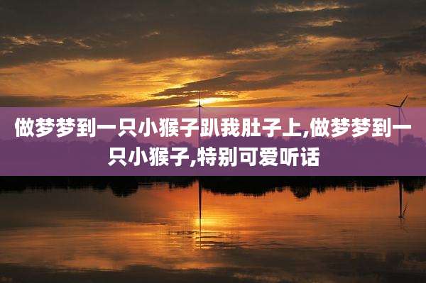 做梦梦到一只小猴子趴我肚子上,做梦梦到一只小猴子,特别可爱听话