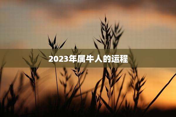 2023年属牛人的运程