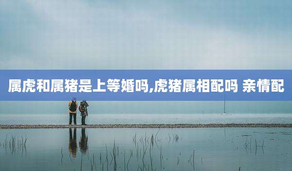属虎和属猪是上等婚吗,虎猪属相配吗 亲情配