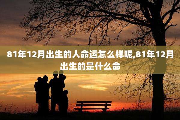 81年12月出生的人命运怎么样呢,81年12月出生的是什么命